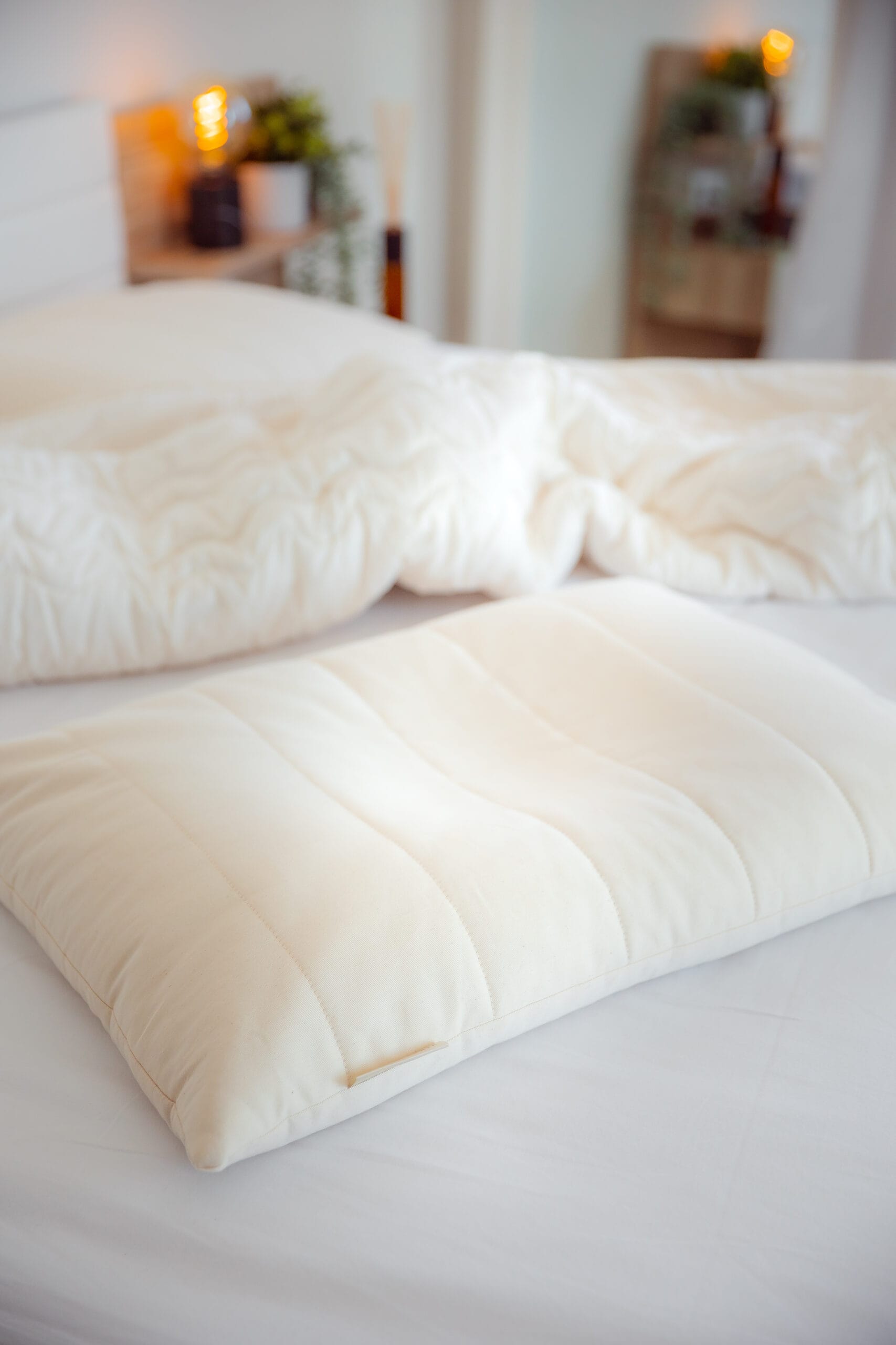 Anatomical pillow Dioces 2in1 (cotton, millet husks)
